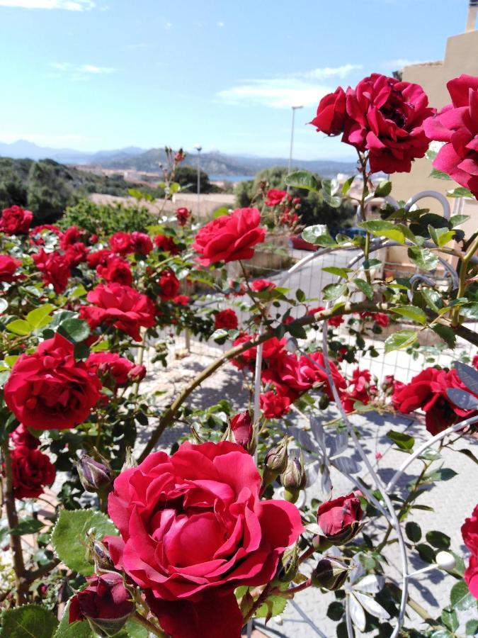 The Roses Garden La Maddalena (Sassari) Exterior foto