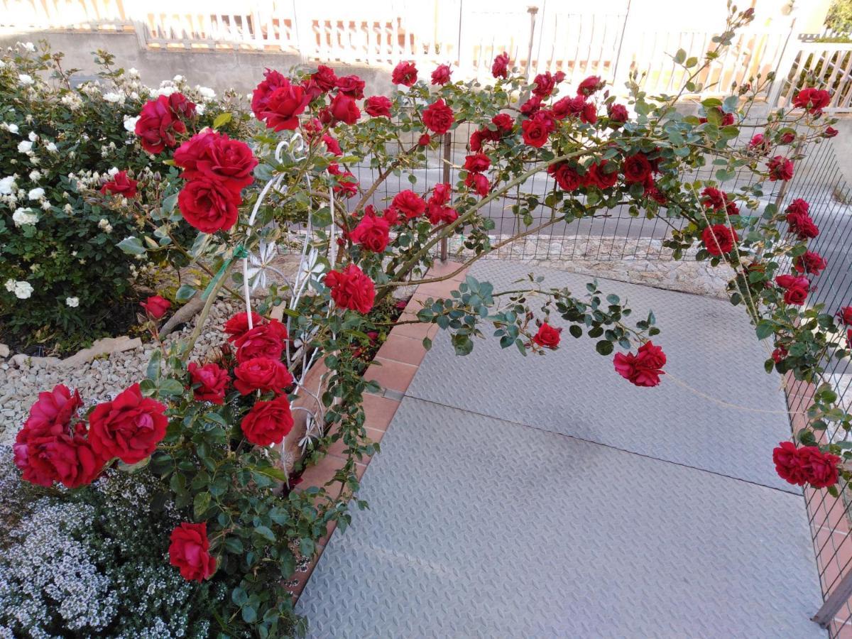 The Roses Garden La Maddalena (Sassari) Exterior foto