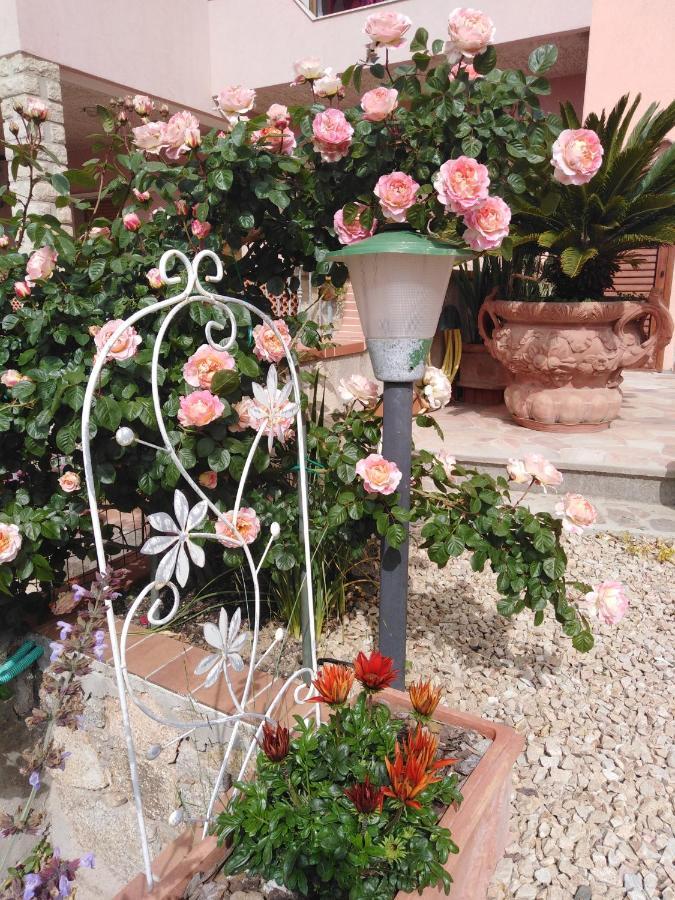 The Roses Garden La Maddalena (Sassari) Exterior foto