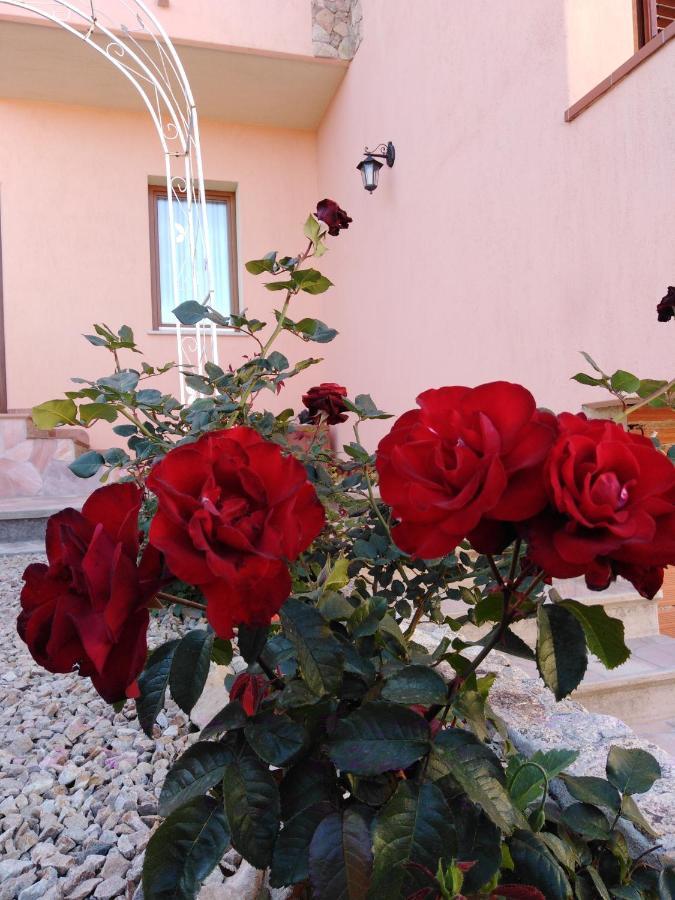The Roses Garden La Maddalena (Sassari) Exterior foto